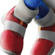 Illustration for article titled Huh, They Even Redesigned Sonics Sneakers